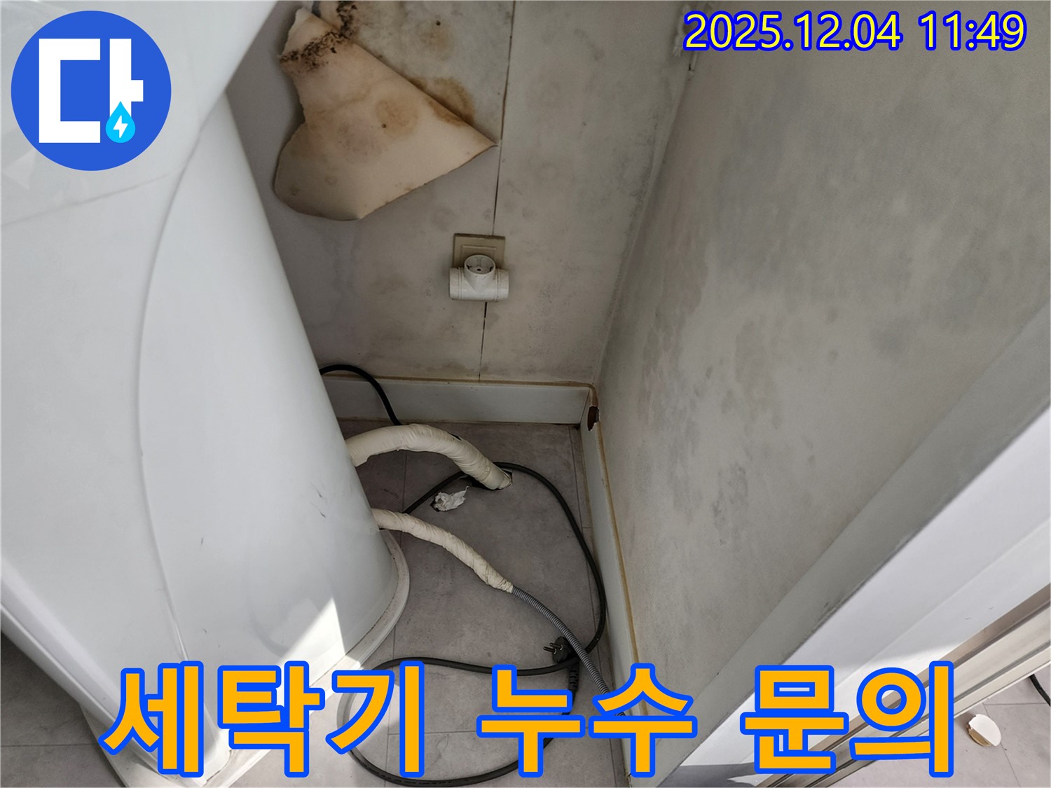 일동면 - 세탁기 뒤 젖은 벽 - 콘센트 곰팡이 - 감전사고 위험 - 즉시 전문가에게 문의 - 24시간 긴급 상담 - 책임 시공