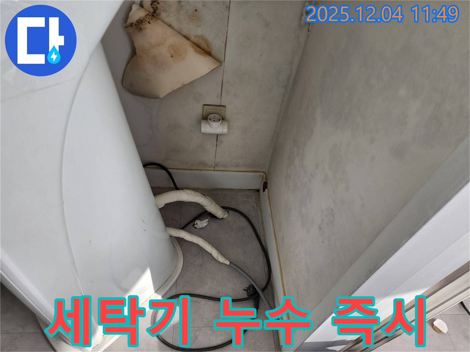 일동면 - 세탁기 뒤 젖은 벽, 콘센트 곰팡이 - 감전사고 위험, 지금 바로 점검