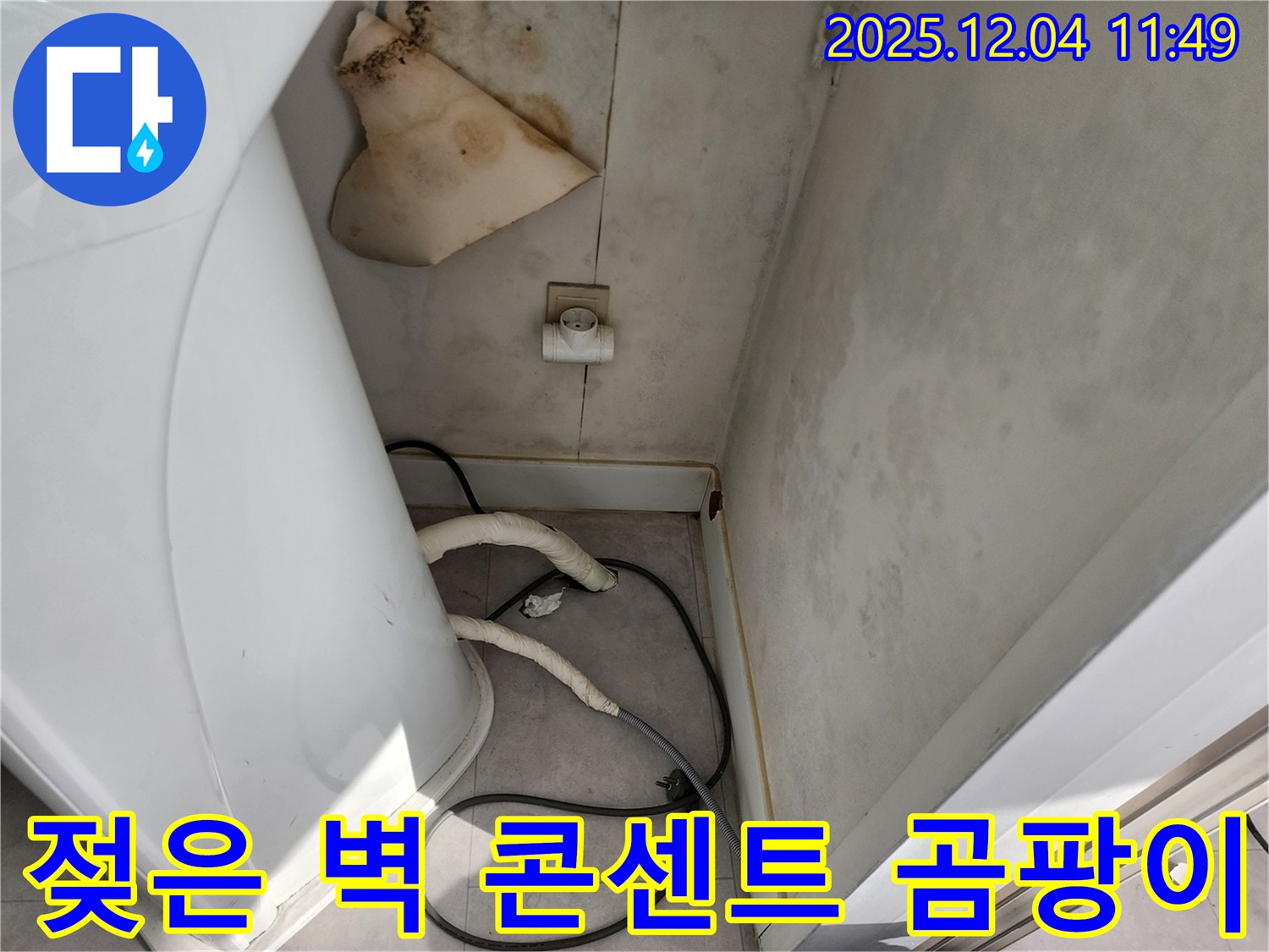 일동면 - 젖은 벽, 콘센트 주변 곰팡이 - 감전 위험, 안전 점검 서두르세요