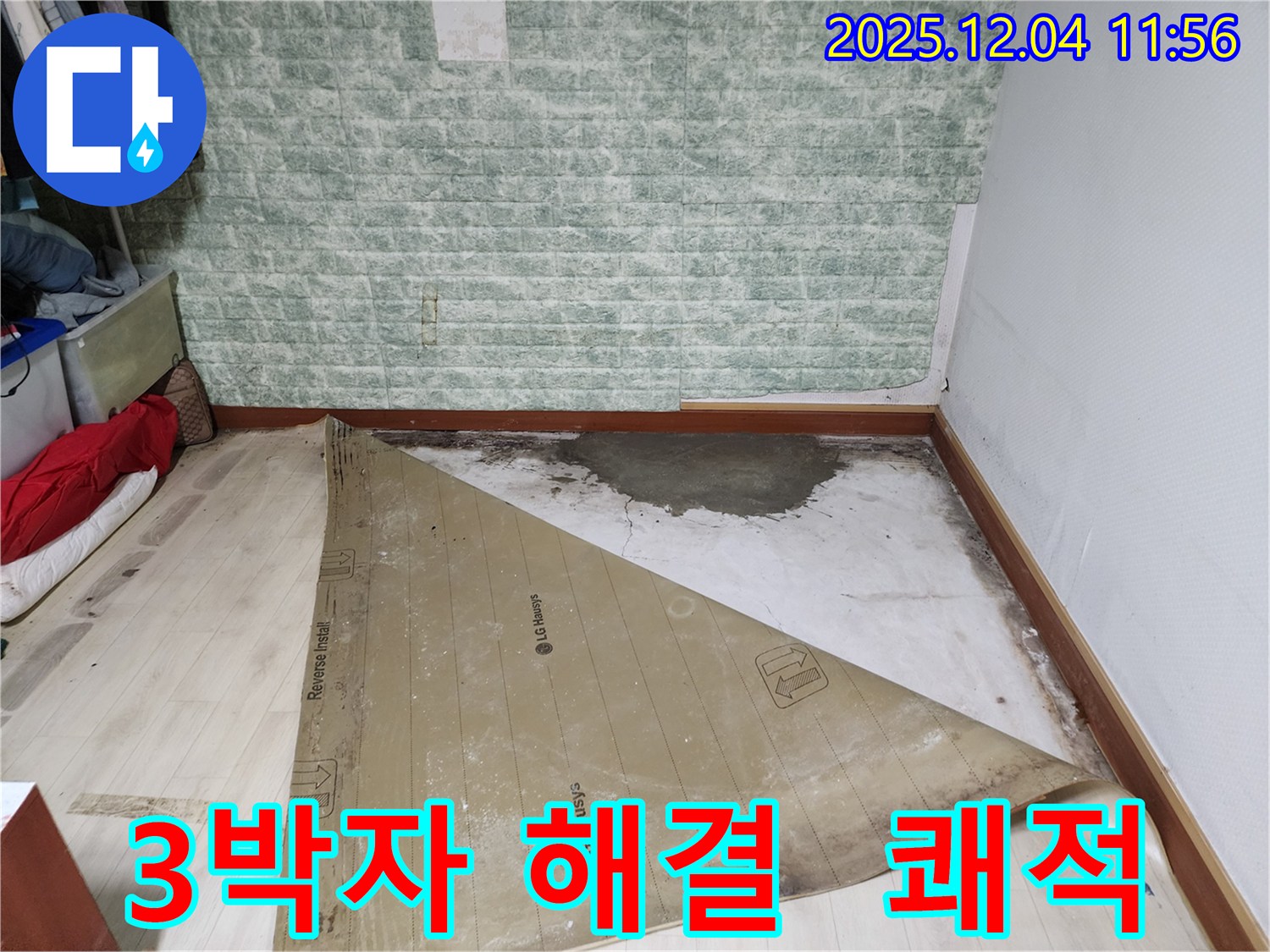 포천 누수 - 썩은 장판 곰팡이 악취 3박자 해결
