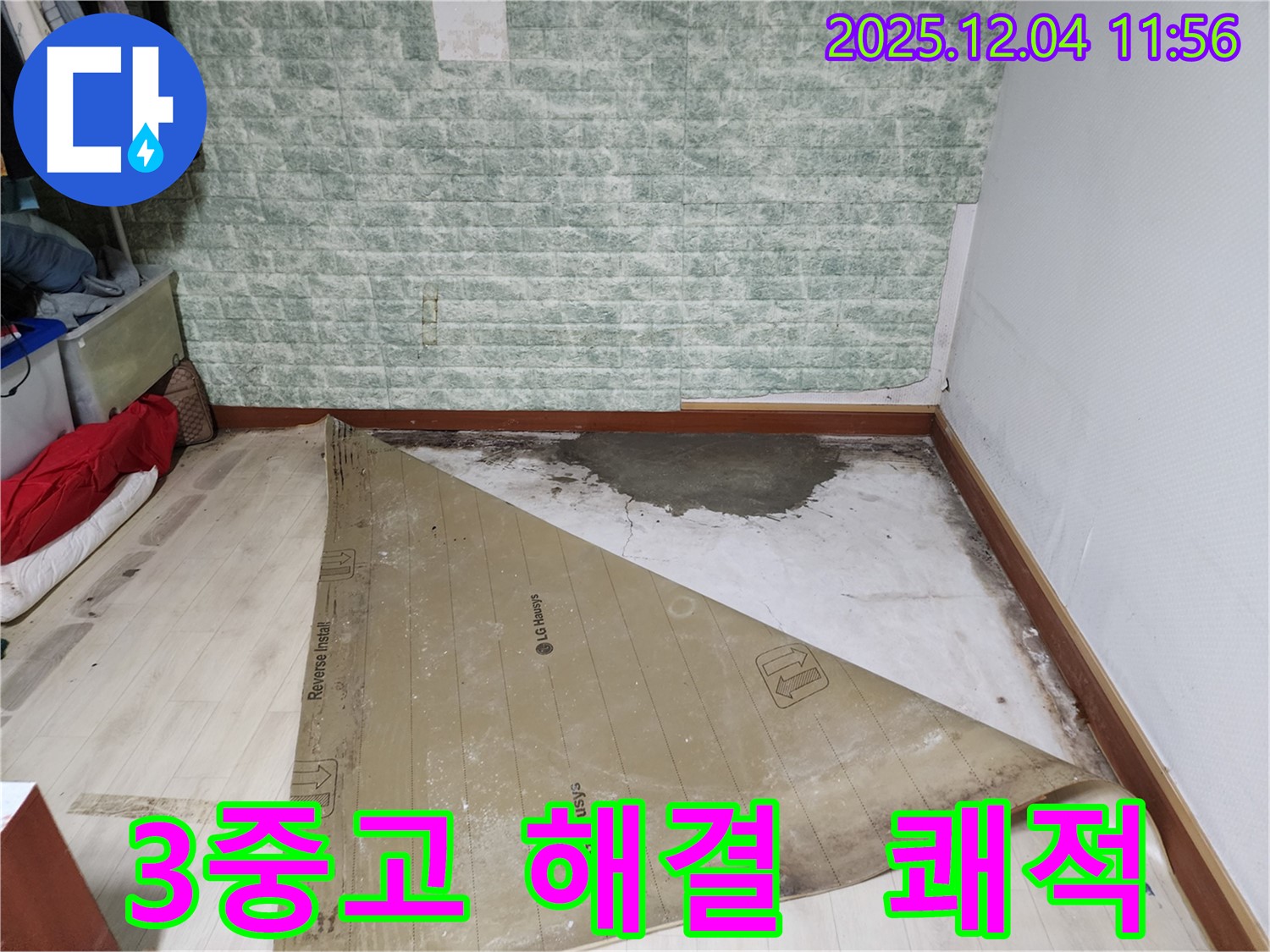 포천 누수 - 썩은 장판 곰팡이 악취 3중고 완벽 해결