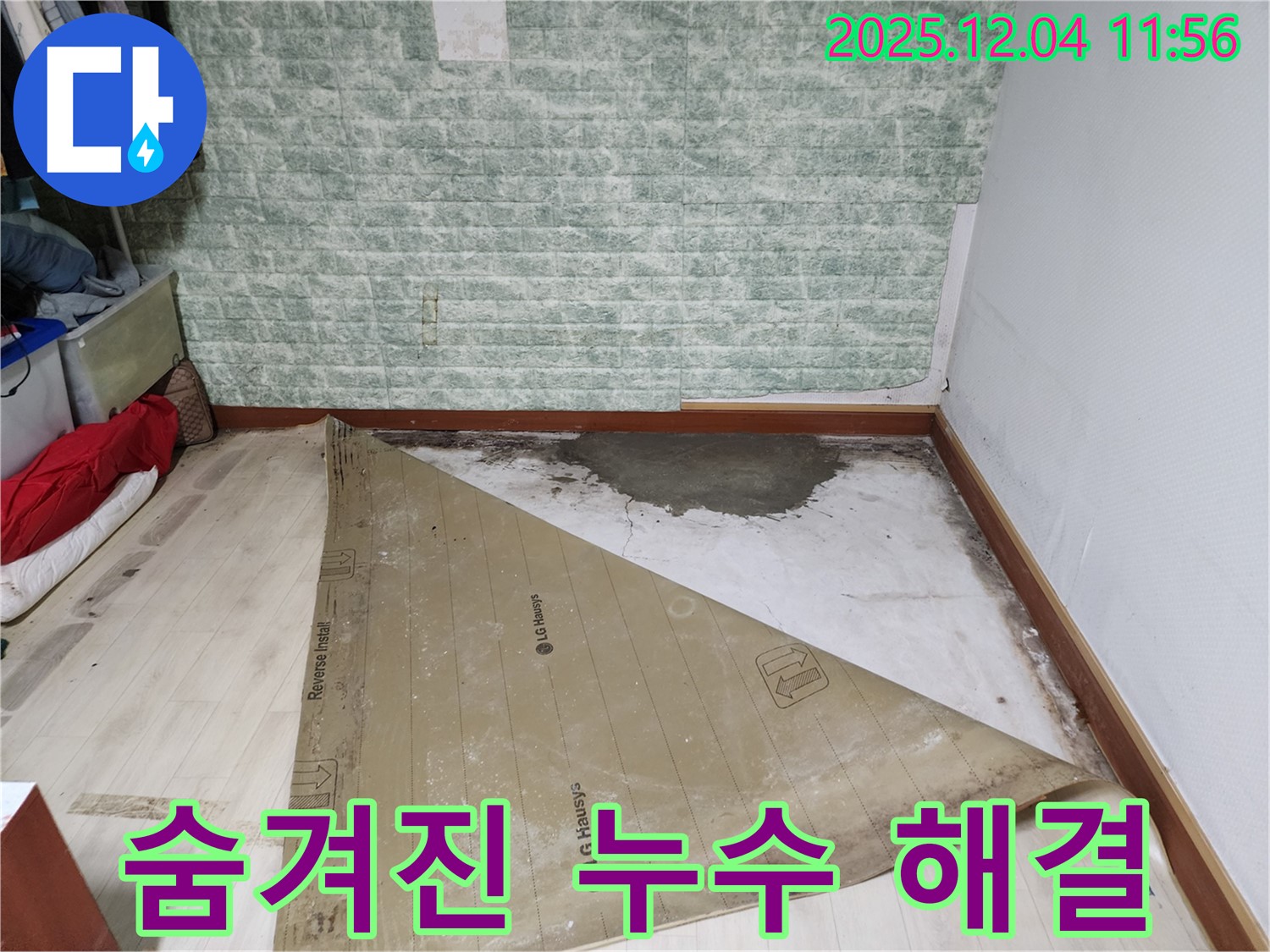 포천 누수 - 썩은 장판 밑 숨겨진 누수 곰팡이 악취 3중고 24시간 긴급 해결