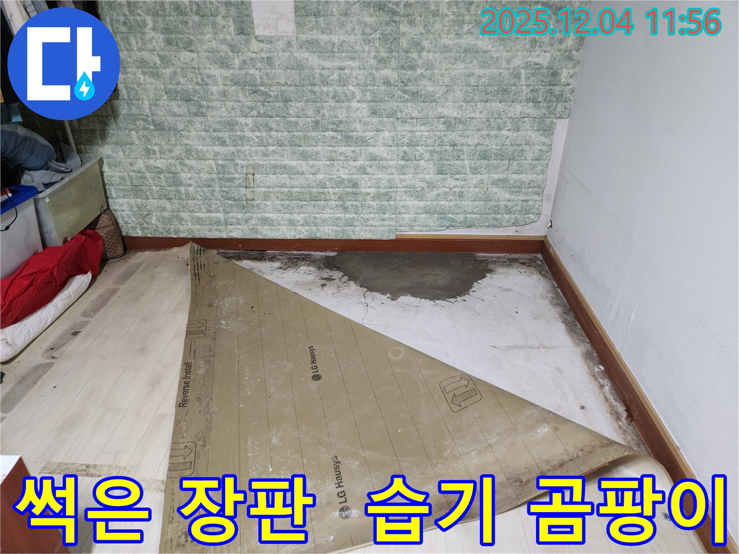 포천 누수 - 썩은 장판 습기 곰팡이 3중고 해결
