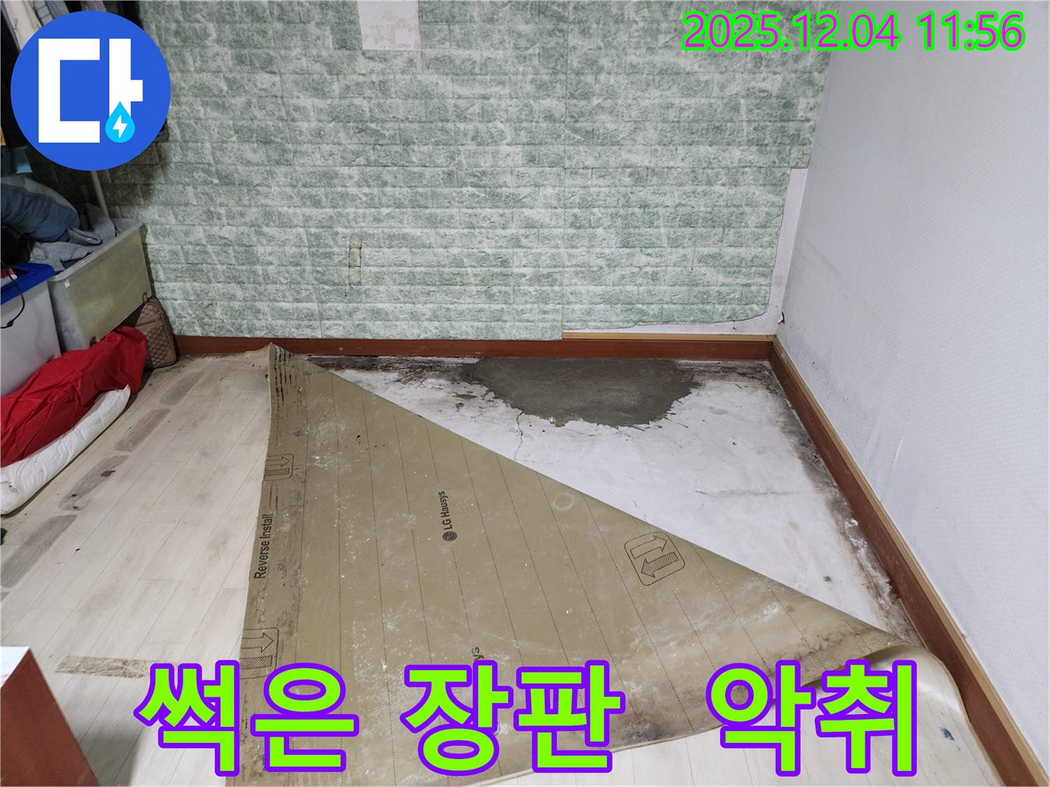 포천 누수 - 썩은 장판 악취 곰팡이 완벽 제거