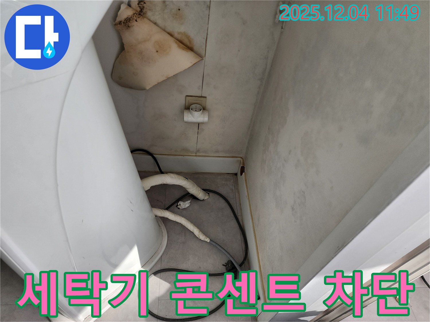 포천 - 세탁기 뒤 콘센트 곰팡이 - 젖은 벽 - 감전사고 위험, 즉시 차단