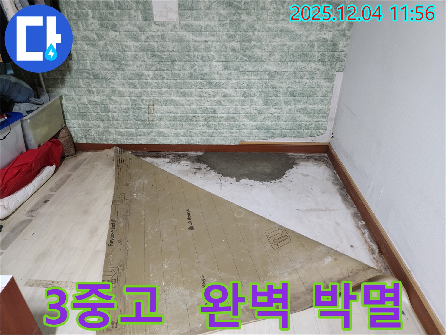 포천 일동 누수 - 썩은 장판 습기 곰팡이 3중고 완벽 박멸