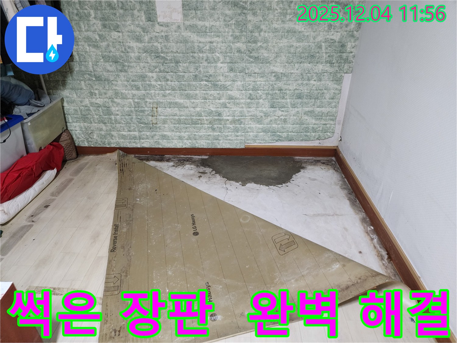 포천 일동 누수 - 썩은 장판 습기 곰팡이 완벽 해결