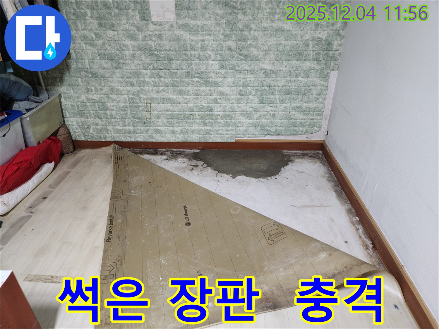 포천시 일동면 기산리 누수 - 썩어버린 장판 아래 충격적인 모습