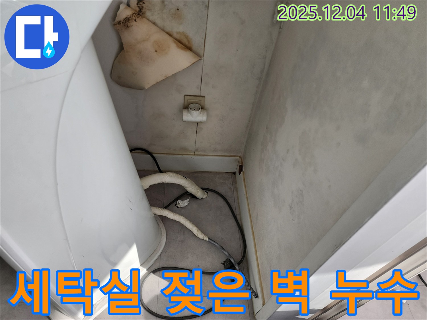 포천시 일동면 - 세탁실 젖은 벽 - 콘센트 곰팡이 - 감전 위험
