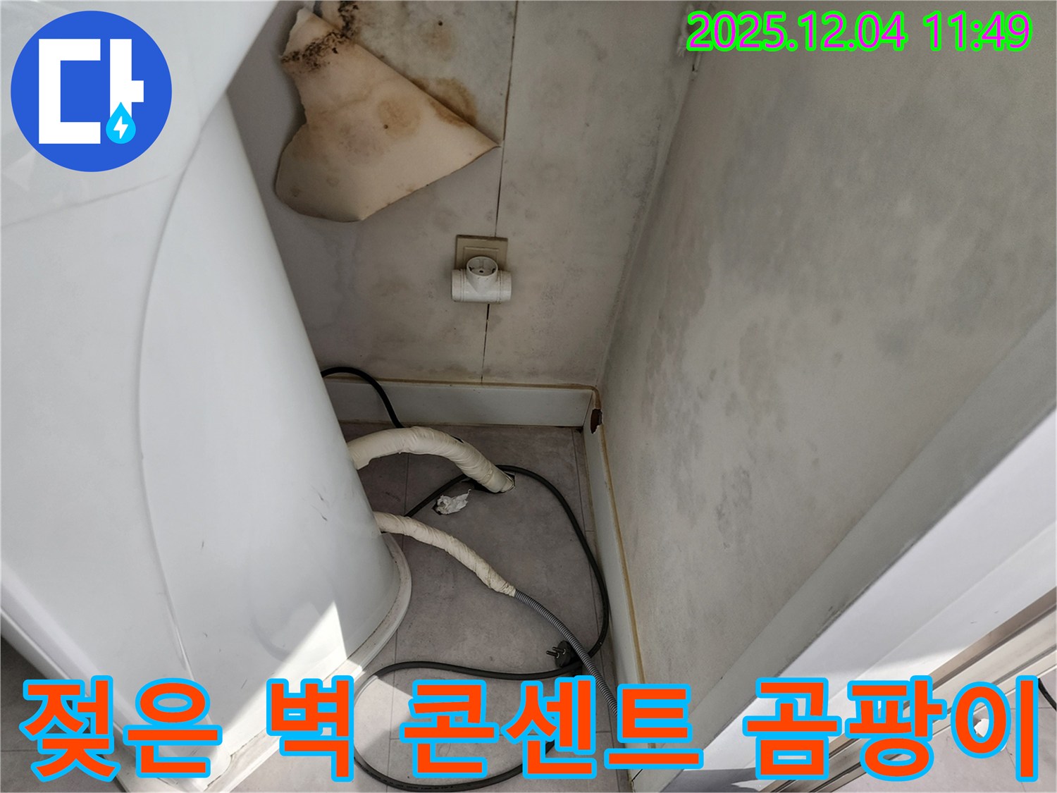 포천시 일동면 - 젖은 벽, 콘센트, 곰팡이 - 감전 위험, 전문가 상담