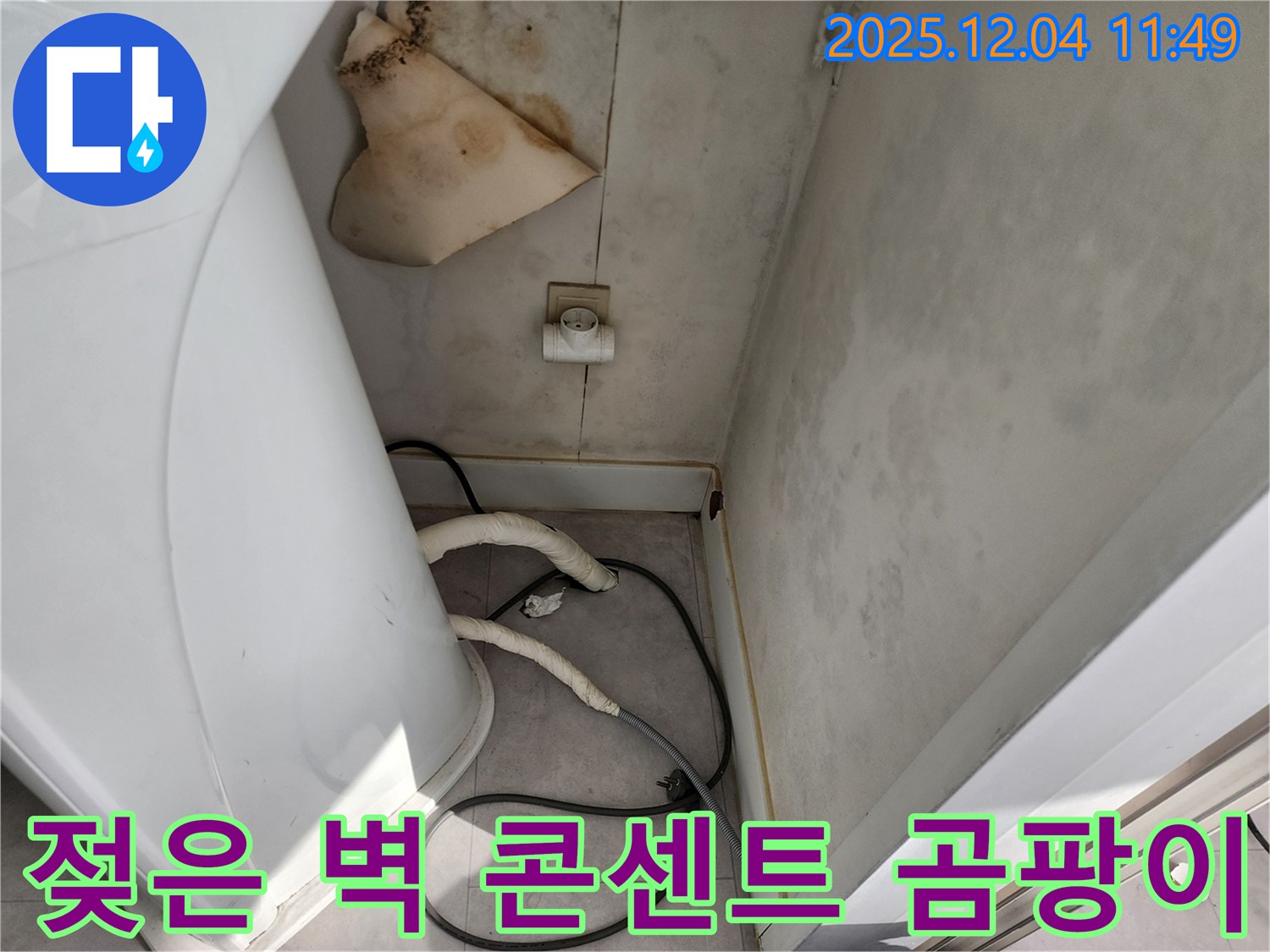 포천시 - 젖은 벽, 콘센트, 곰팡이 - 감전 위험, 긴급 점검