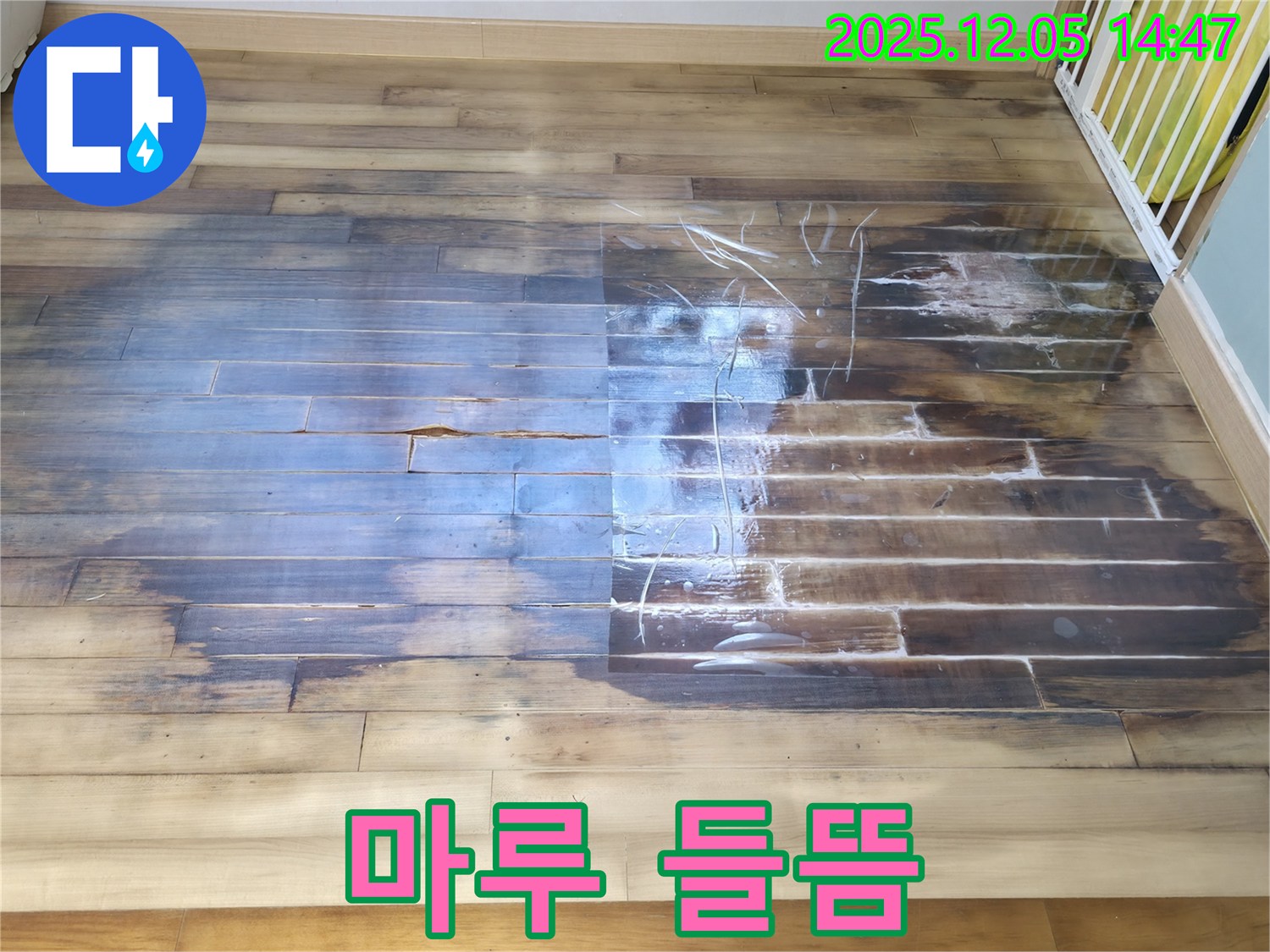 마루 들뜸 - 누수로 인한 마루 들뜸 현상