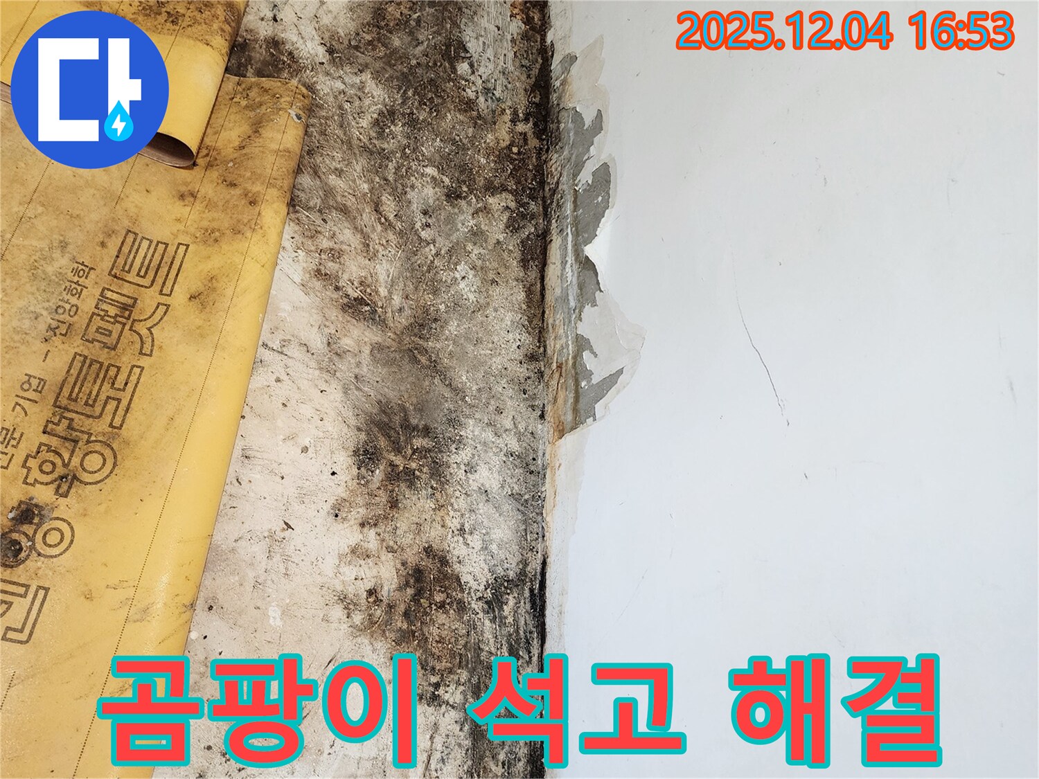 곰팡이와 석고보드 문제 해결 - 확실한 기술력과 노하우