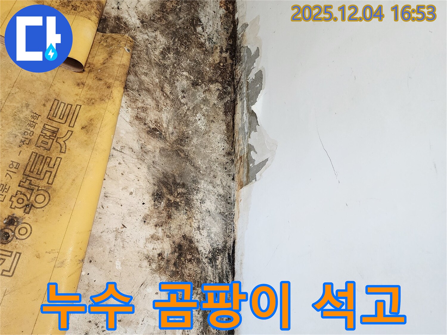 누수로 인한 곰팡이와 석고보드 손상 - 곰팡이 방지 및 석고보드 교체 시공