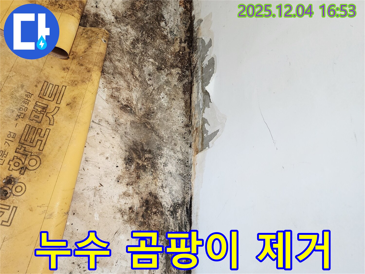 누수와 곰팡이, 석고보드 제거 - 정직하고 투명한 견적 제공