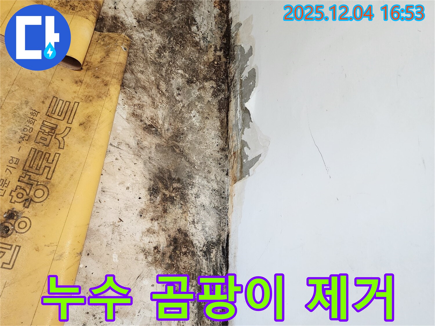 누수와 곰팡이 제거 - 고객 만족 후기