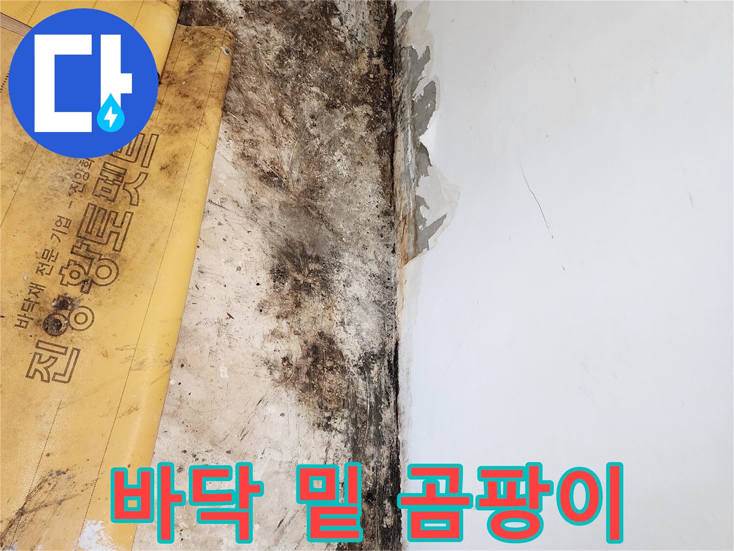 바닥재를 제거한 후 드러난 곰팡이 오염 부위