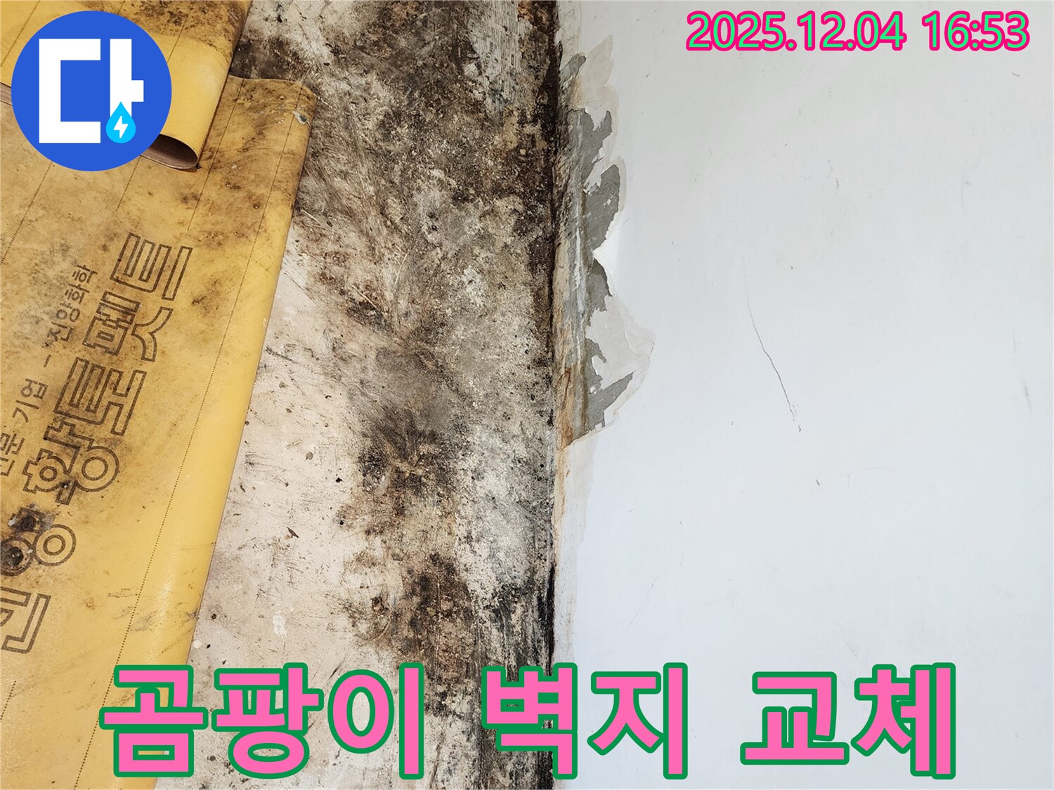 벽 누수로 인한 곰팡이와 벽지 손상 - 곰팡이 제거 및 벽지 교체 시공