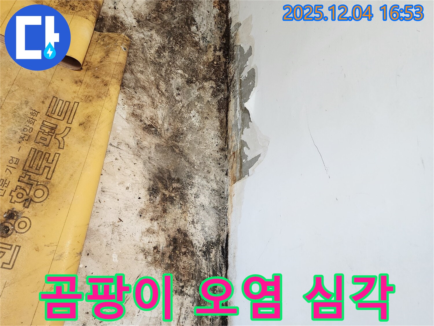 심각한 곰팡이 오염 - 누수 해결 후 곰팡이 제거