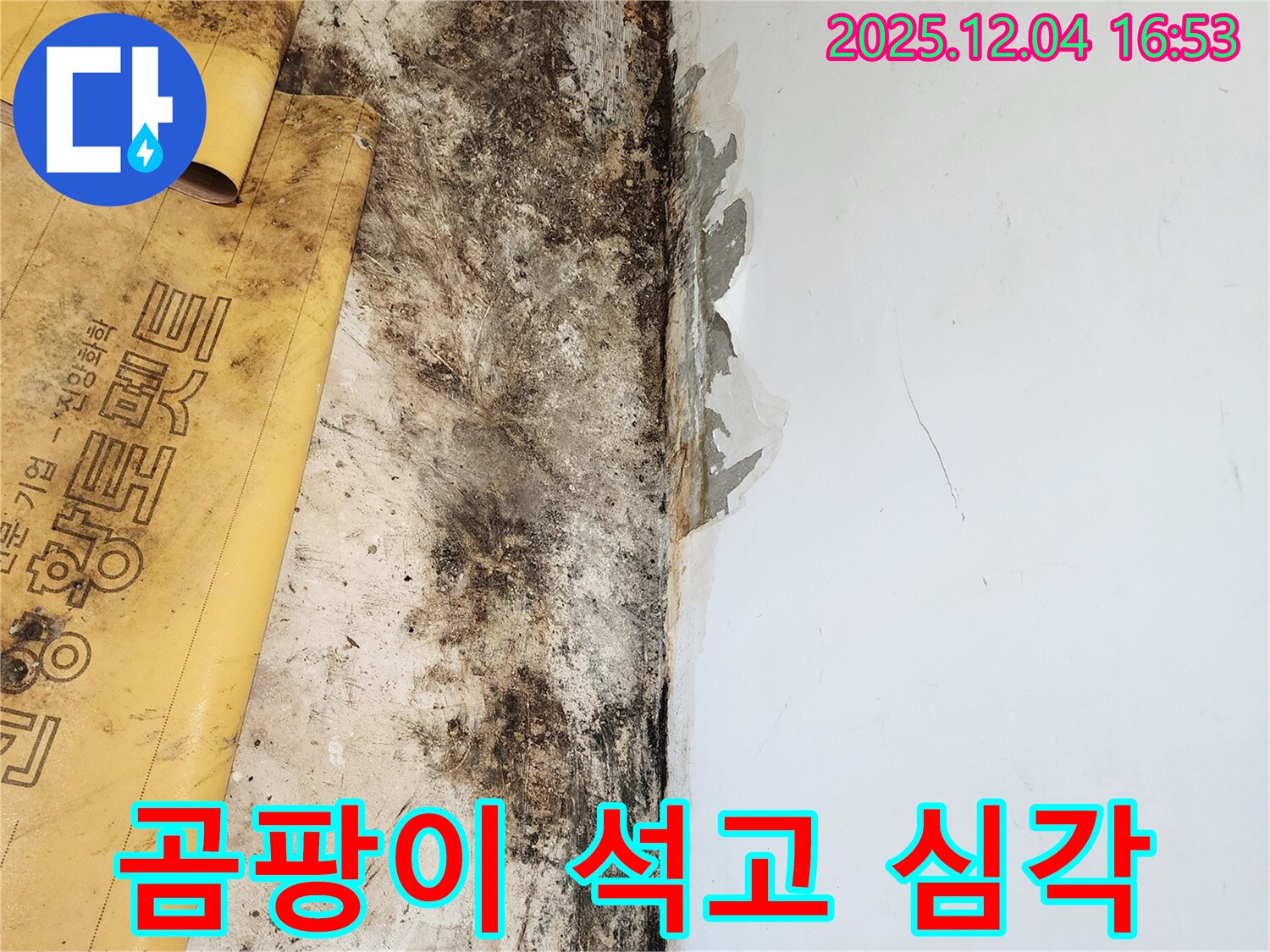 심각한 곰팡이와 석고보드 상태 - 누수 해결 및 곰팡이 제거, 석고보드 복원