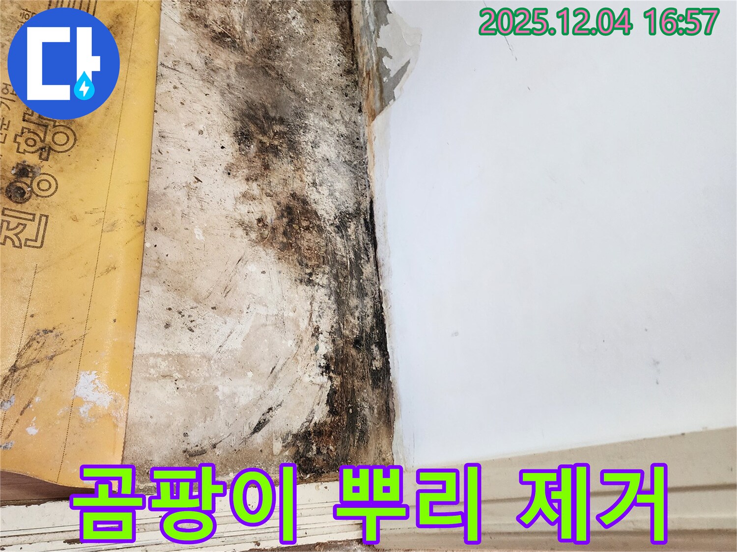일동면 화대리 누수 - 곰팡이 뿌리까지 제거 작업