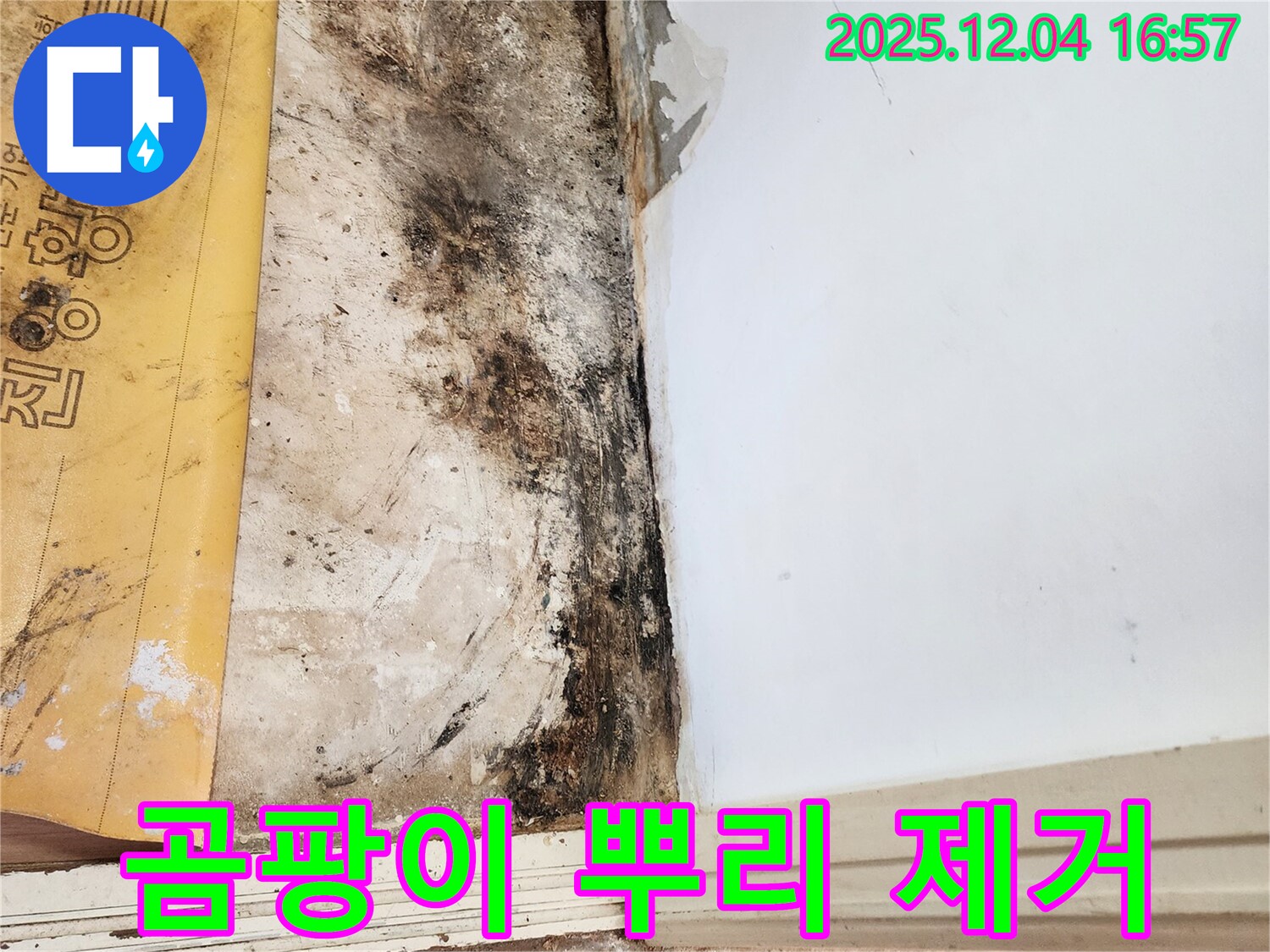 일동면 화대리 누수 - 곰팡이 뿌리까지 제거 작업