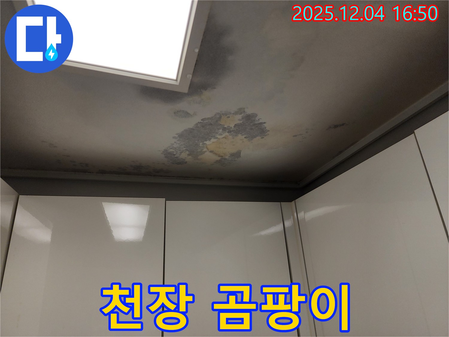 천장 곰팡이 - 누수 - 곰팡이 제거와 누수 해결로 건강 지키기.