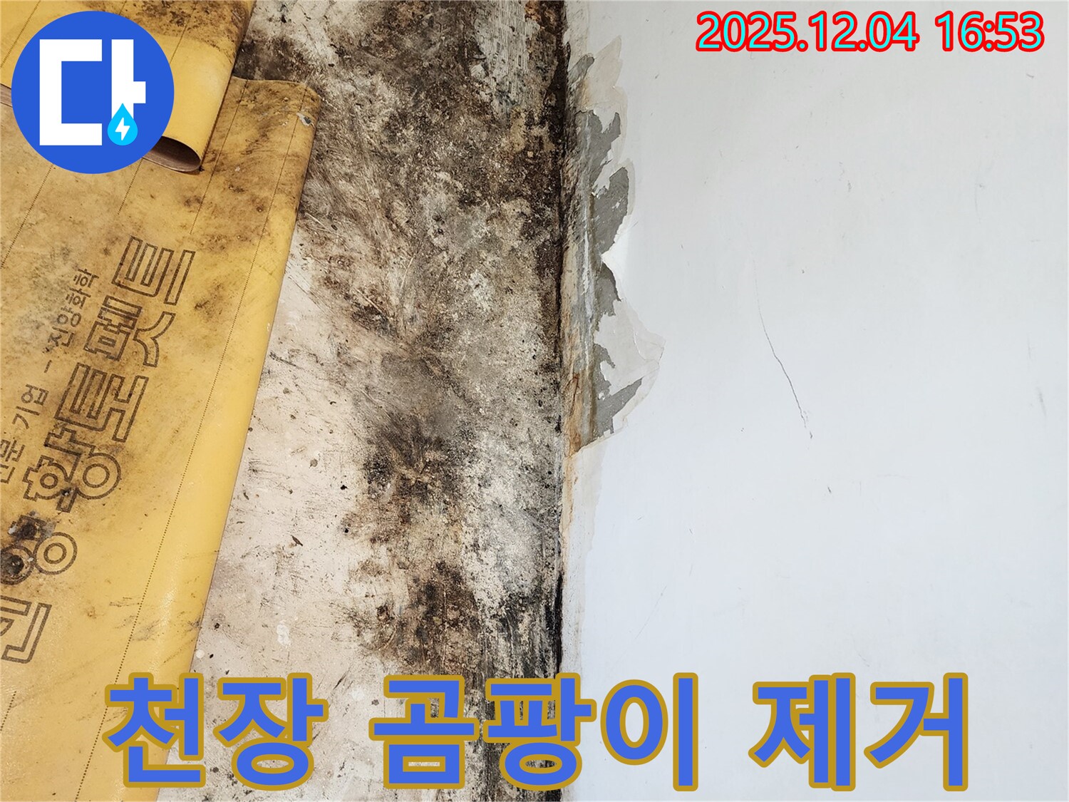 천장 곰팡이 제거 작업 - 깨끗한 환경 조성