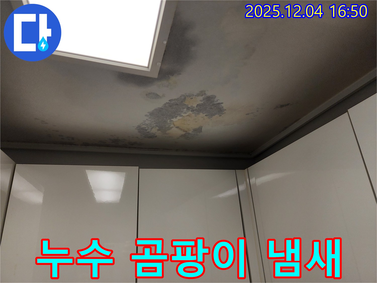 천장 누수 - 곰팡이 냄새 - 찝찝한 곰팡이 냄새 해결