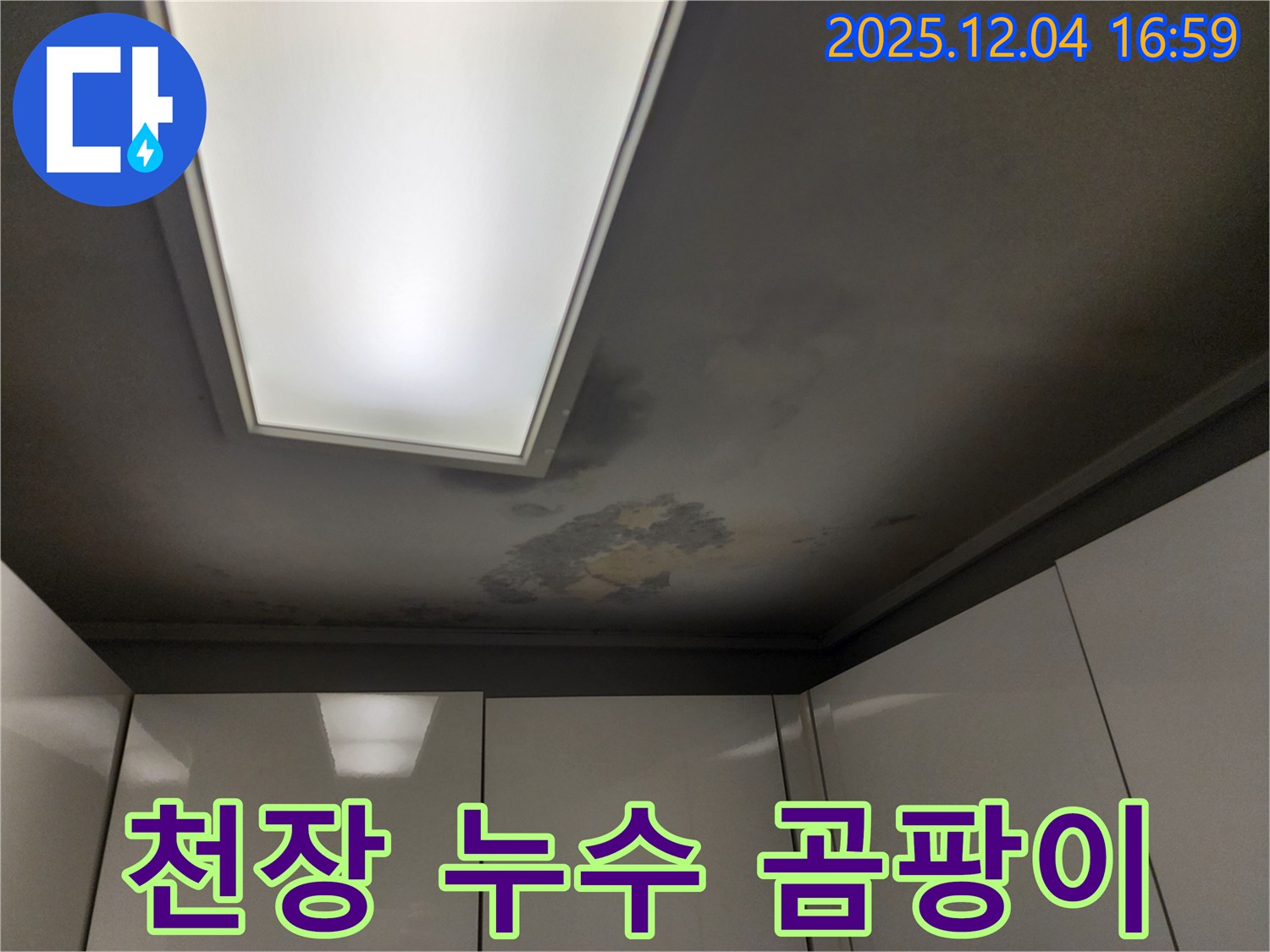 천장 누수 곰팡이 - 습기로 인한 곰팡이 발생