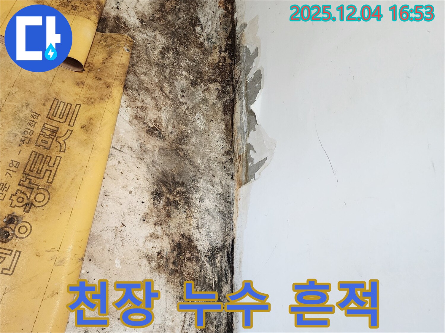 천장 누수 흔적과 곰팡이, 석고보드 손상 - 철저한 사후 관리 약속