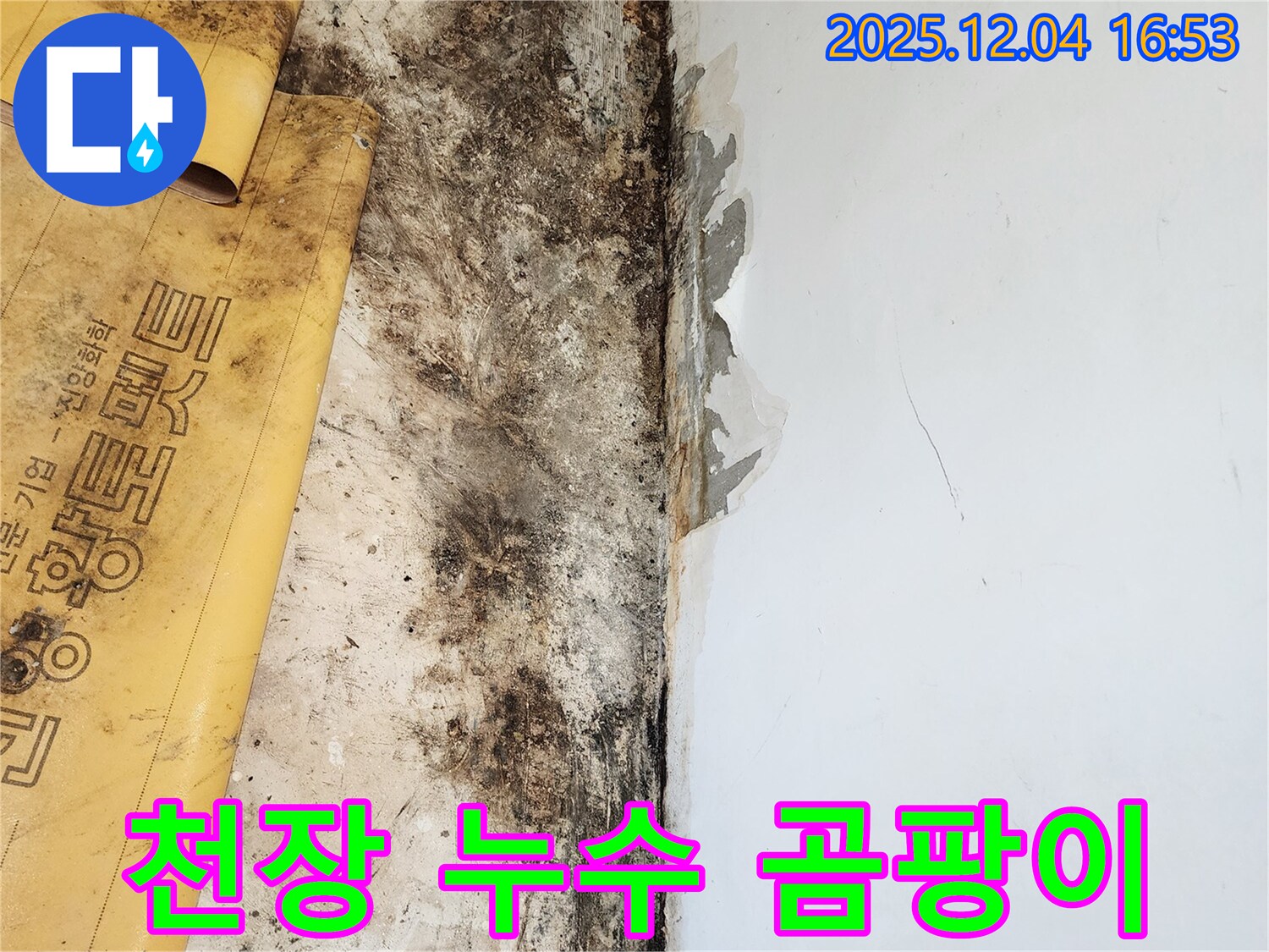 천장 누수와 곰팡이, 석고보드 손상 - 누수 해결 및 곰팡이 제거, 석고보드 복원 시공 전후 비교