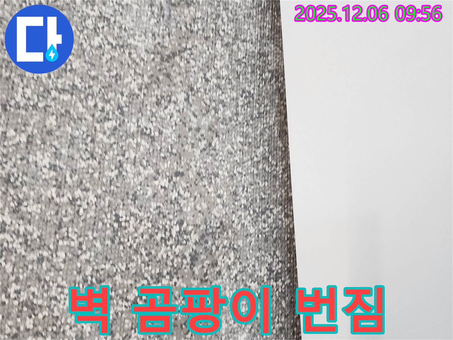 벽 곰팡이 번짐 - 누수탐지 전문가에게 맡기세요