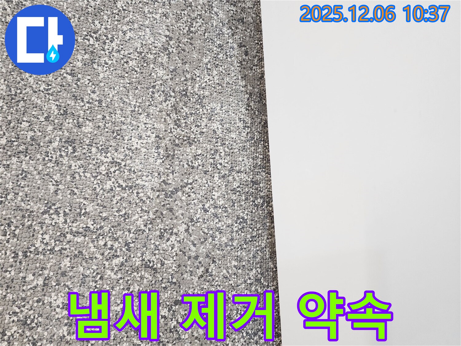 젖은 벽 - 곰팡이 냄새 제거 - 완벽 해결 약속