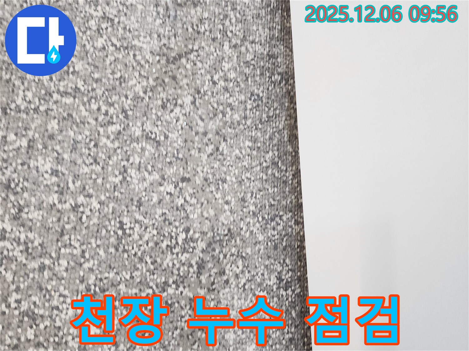 천장 누수 점검 - 꼼꼼한 진단으로 문제 해결!
