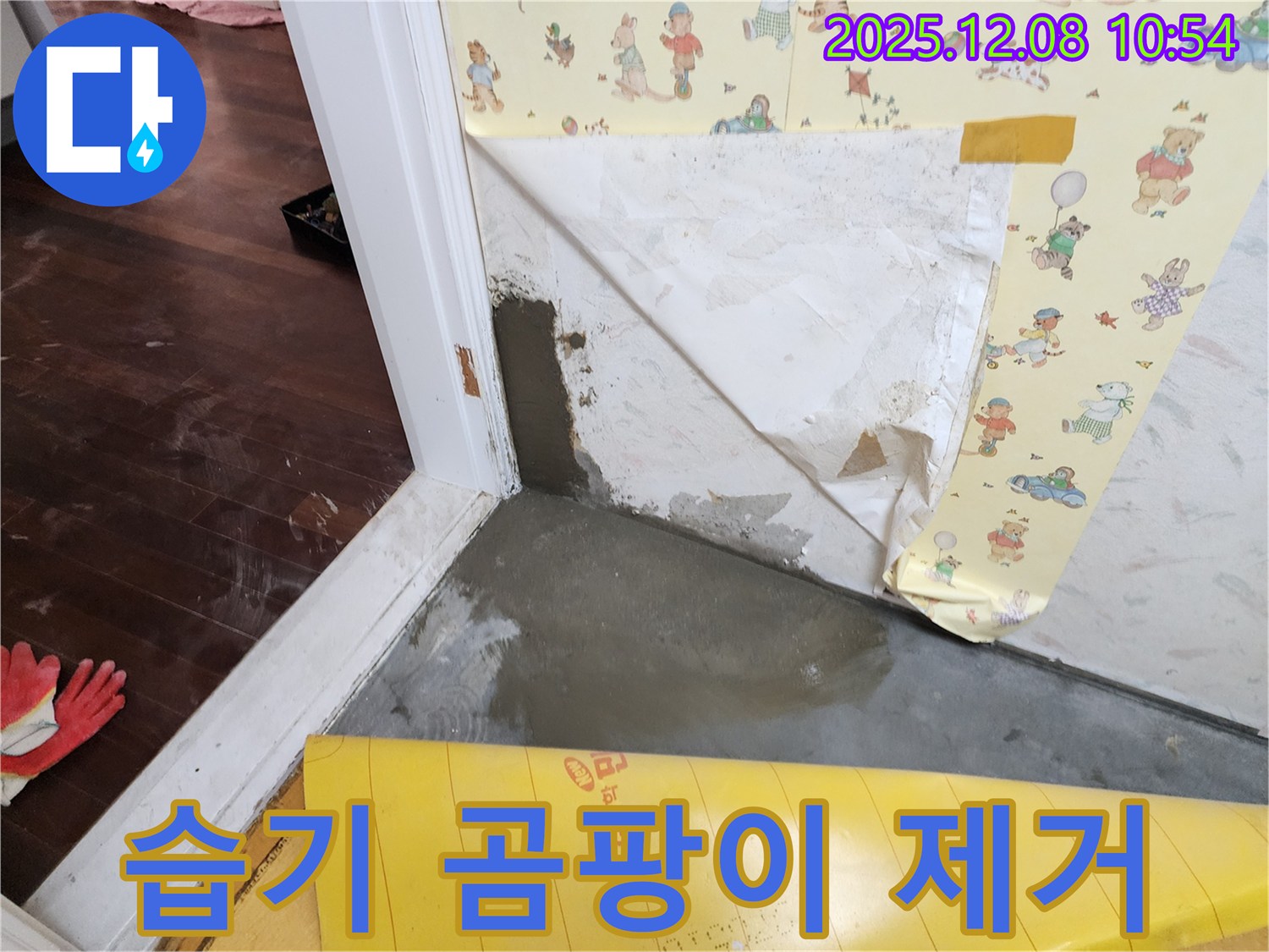 영중면 누수 - 습기 곰팡이 제거 작업으로 쾌적한 환경 조성!