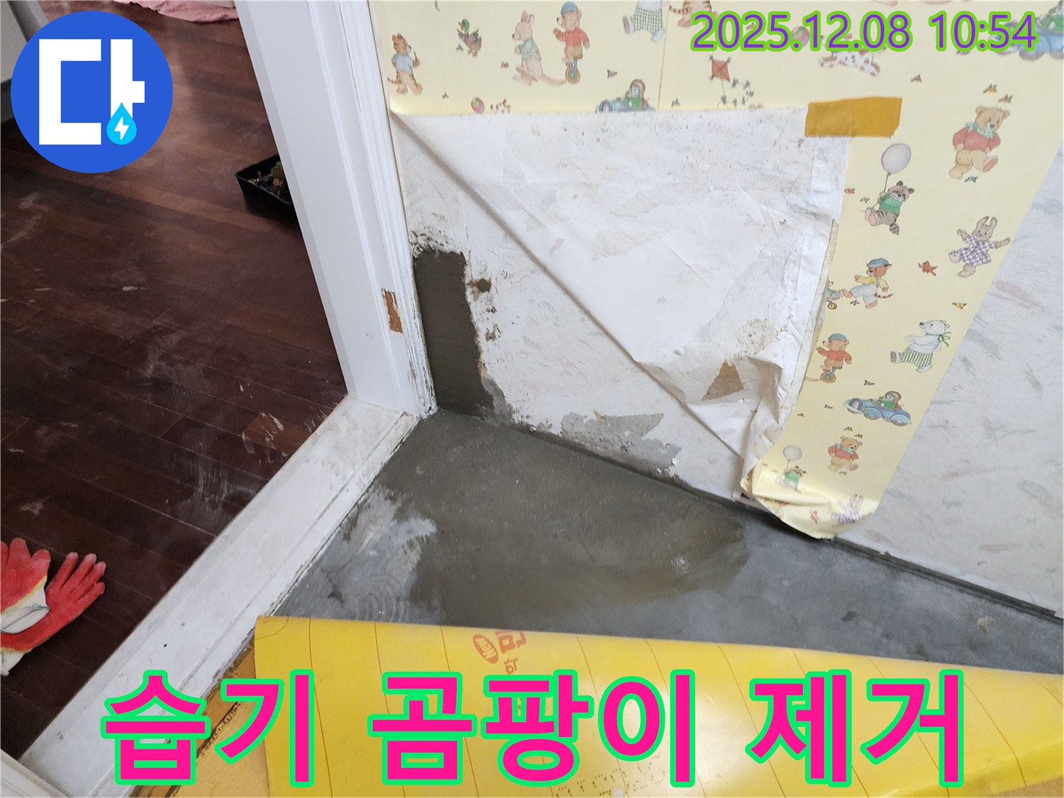 포천 누수 해결 - 습기 곰팡이 제거 시공으로 쾌적한 환경 조성!