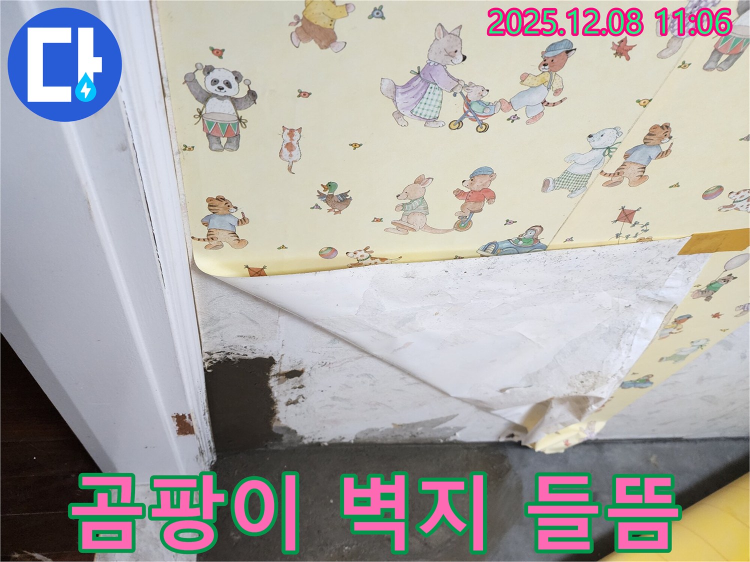 포천시 영중면 거사리 누수 현장 - 곰팡이와 벽지 들뜸 동시 발생