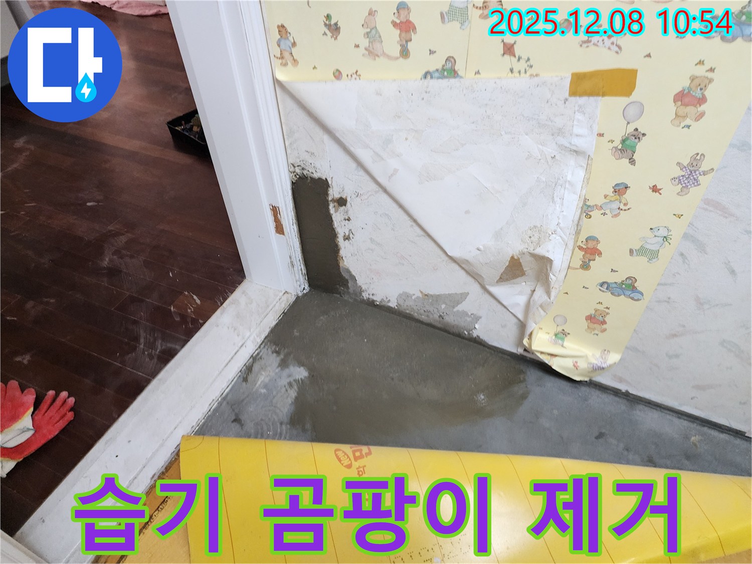 포천시 영중면 거사리 습기 곰팡이 완벽 해결 - 쾌적한 공간으로!