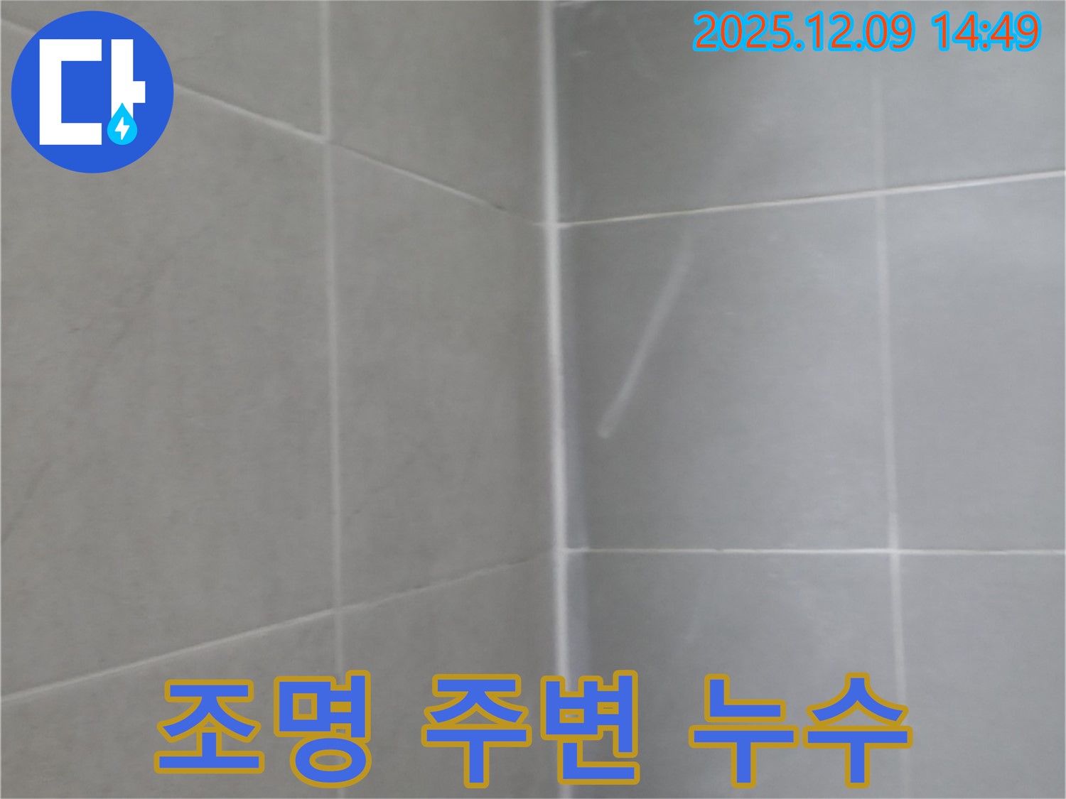 향남 에일린의뜰 조명 주변 누수 - 안전하고 꼼꼼하게 해결