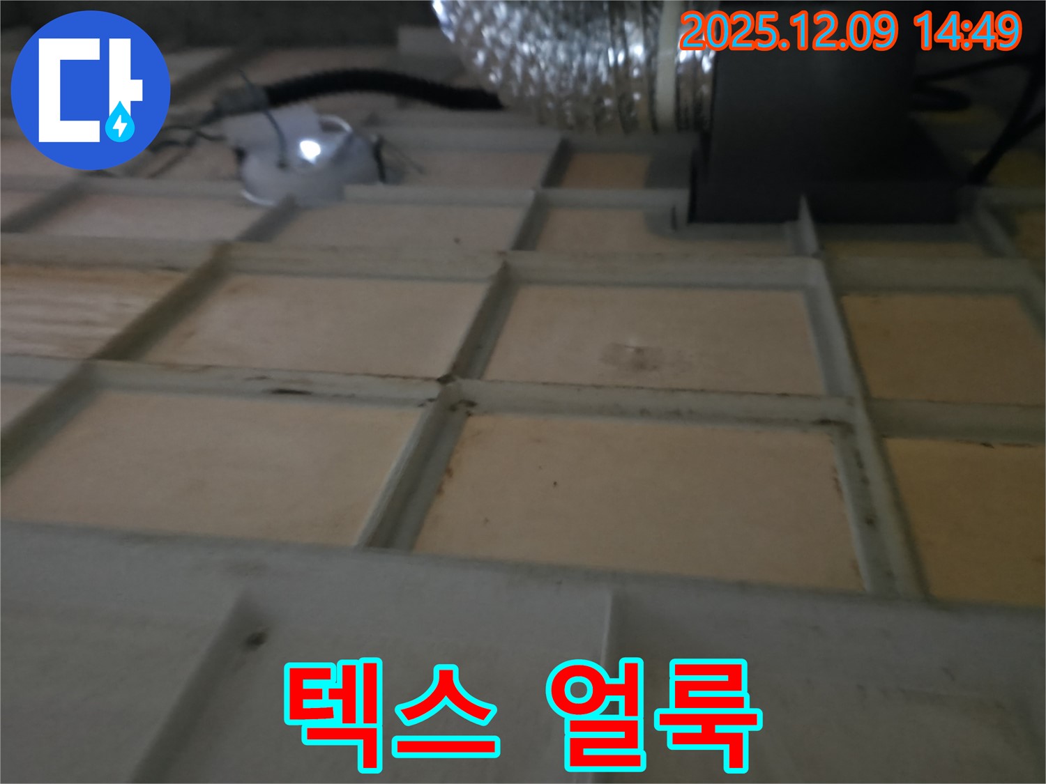 향남 - 텍스 얼룩, 숨은 누수 해결