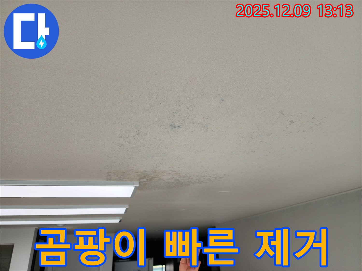 경기도 포천시 영중면 성동리 - 곰팡이, 빠른 제거만이 답