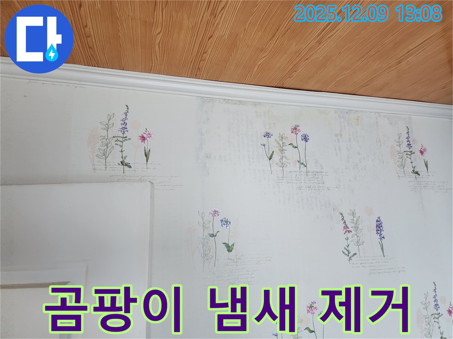 곰팡이 냄새 - 건강 위협 - 완벽 해결