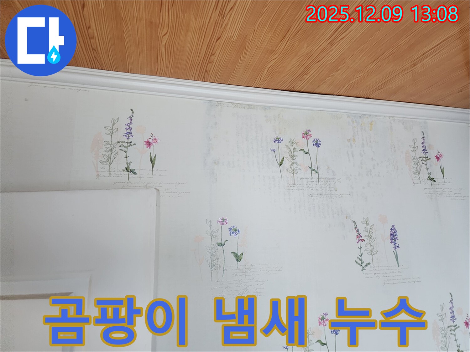곰팡이 냄새 - 누수 의심 - 빠른 조치