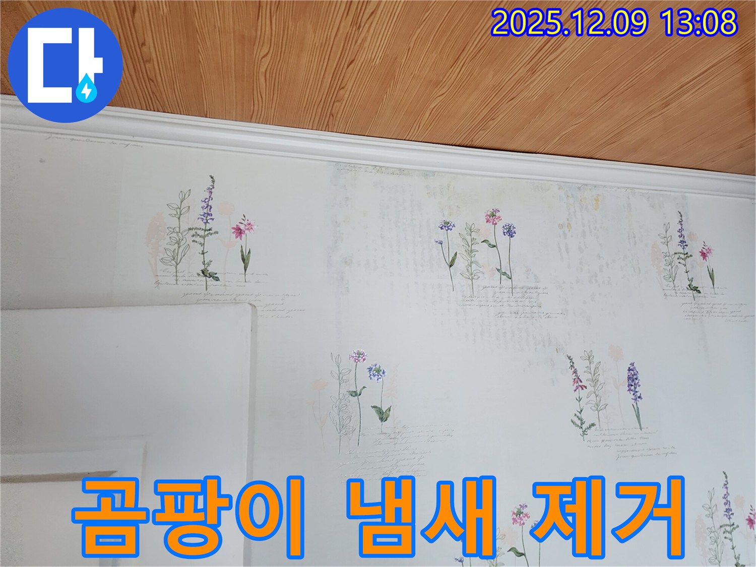 곰팡이 냄새 - 제거 및 방지 - 확실한 시공