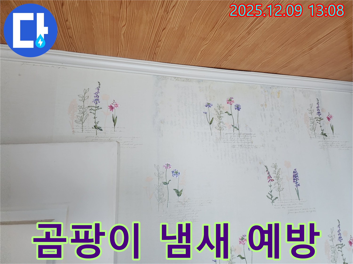 곰팡이 냄새 제거 - 완벽 예방 - 시공