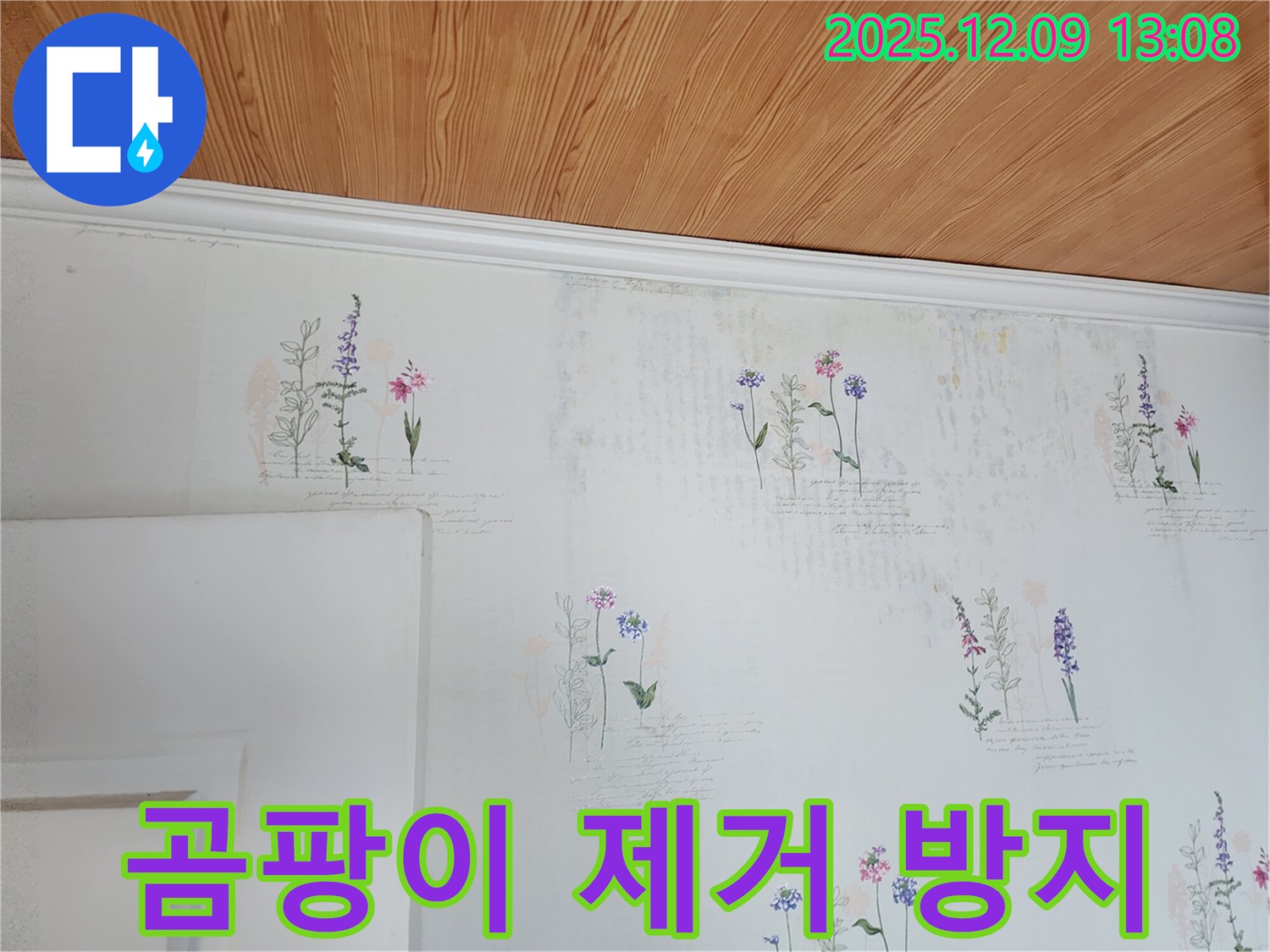 곰팡이 제거 - 재발 방지 - 꼼꼼 시공