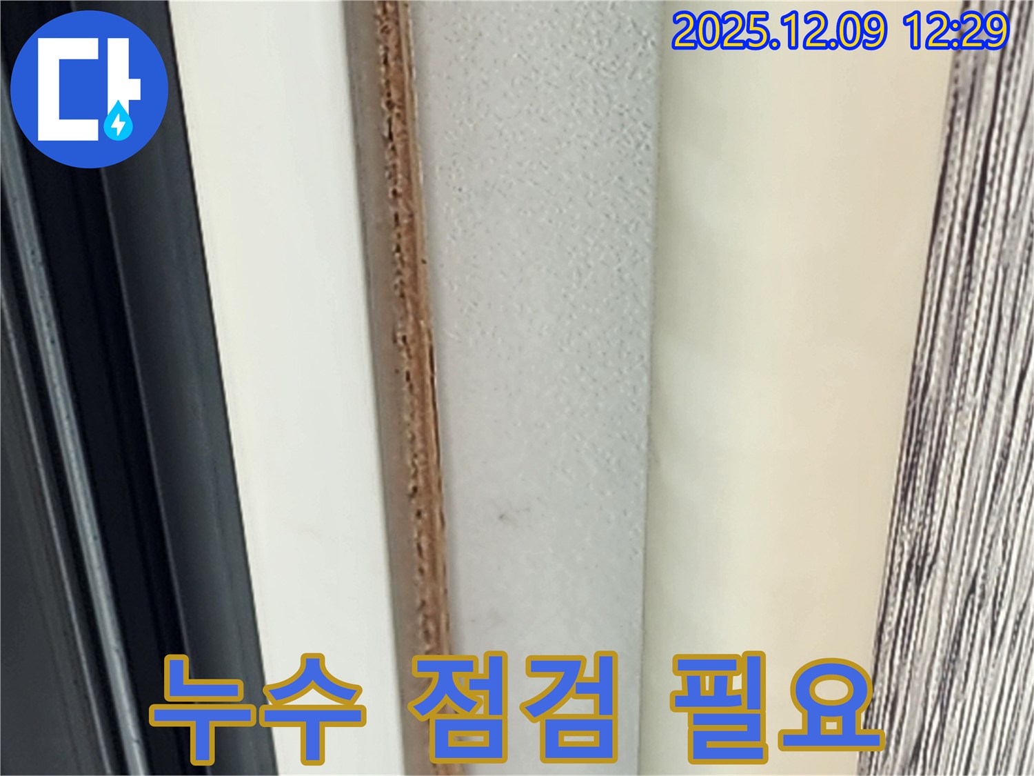 곰팡이 핀 벽 틈새 - 누수 점검이 우선입니다.