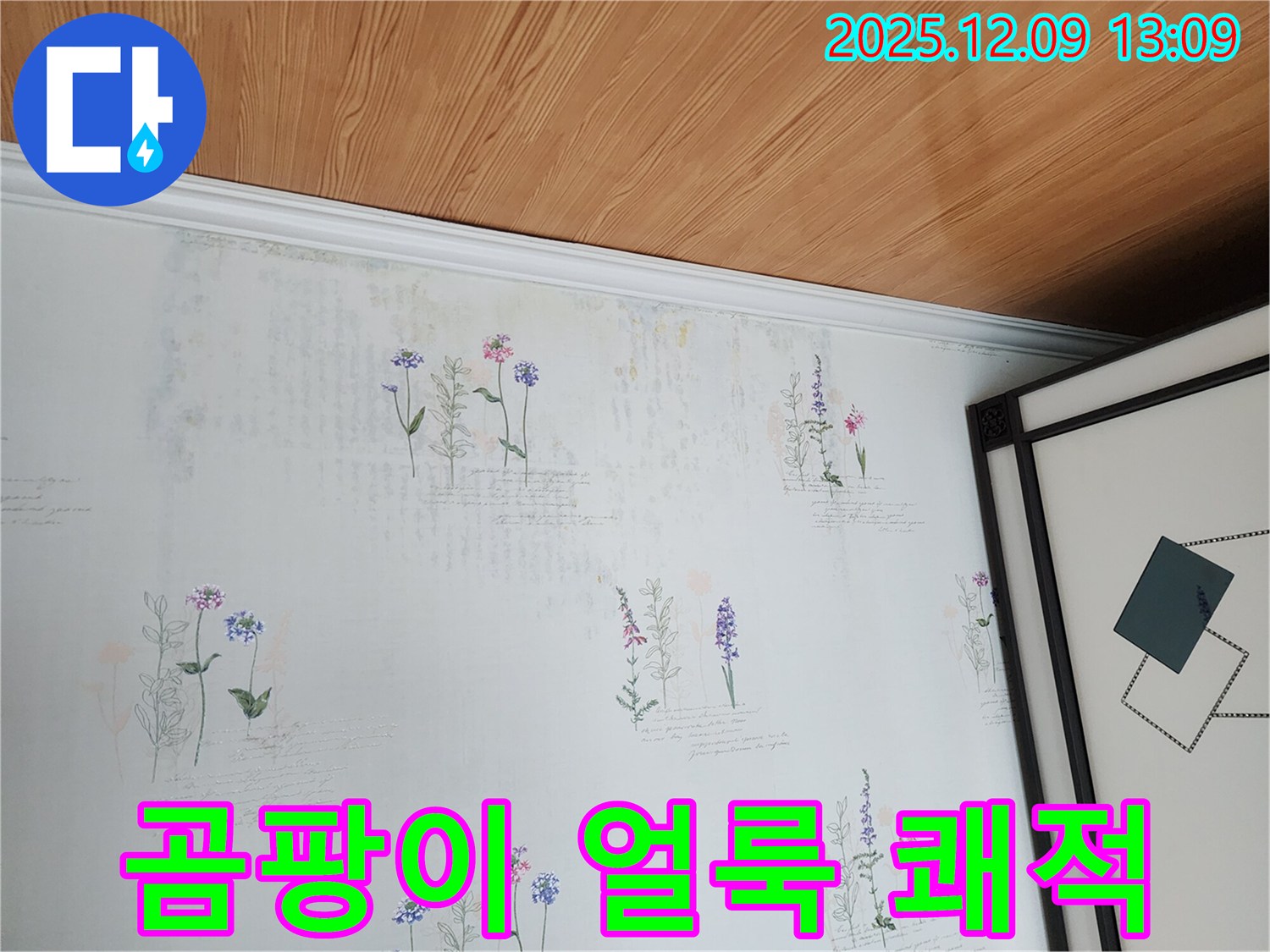 곰팡이와 얼룩으로 오염된 벽지 - 누수 해결로 쾌적한 보금자리를 만들어 드립니다.