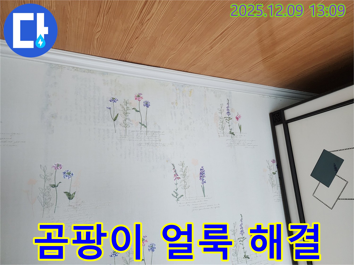 곰팡이와 얼룩으로 오염된 벽지 - 완벽하게 해결해 드립니다. 우리집 곰팡이 해결사!